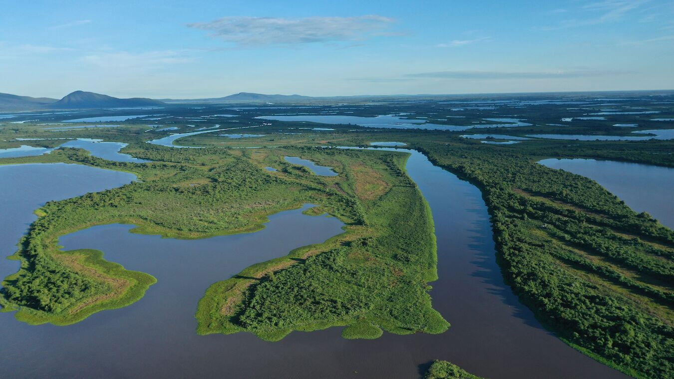 Backdrop for Naturwunder Pantanal - Brasiliens geheimnisvolle Wildnis