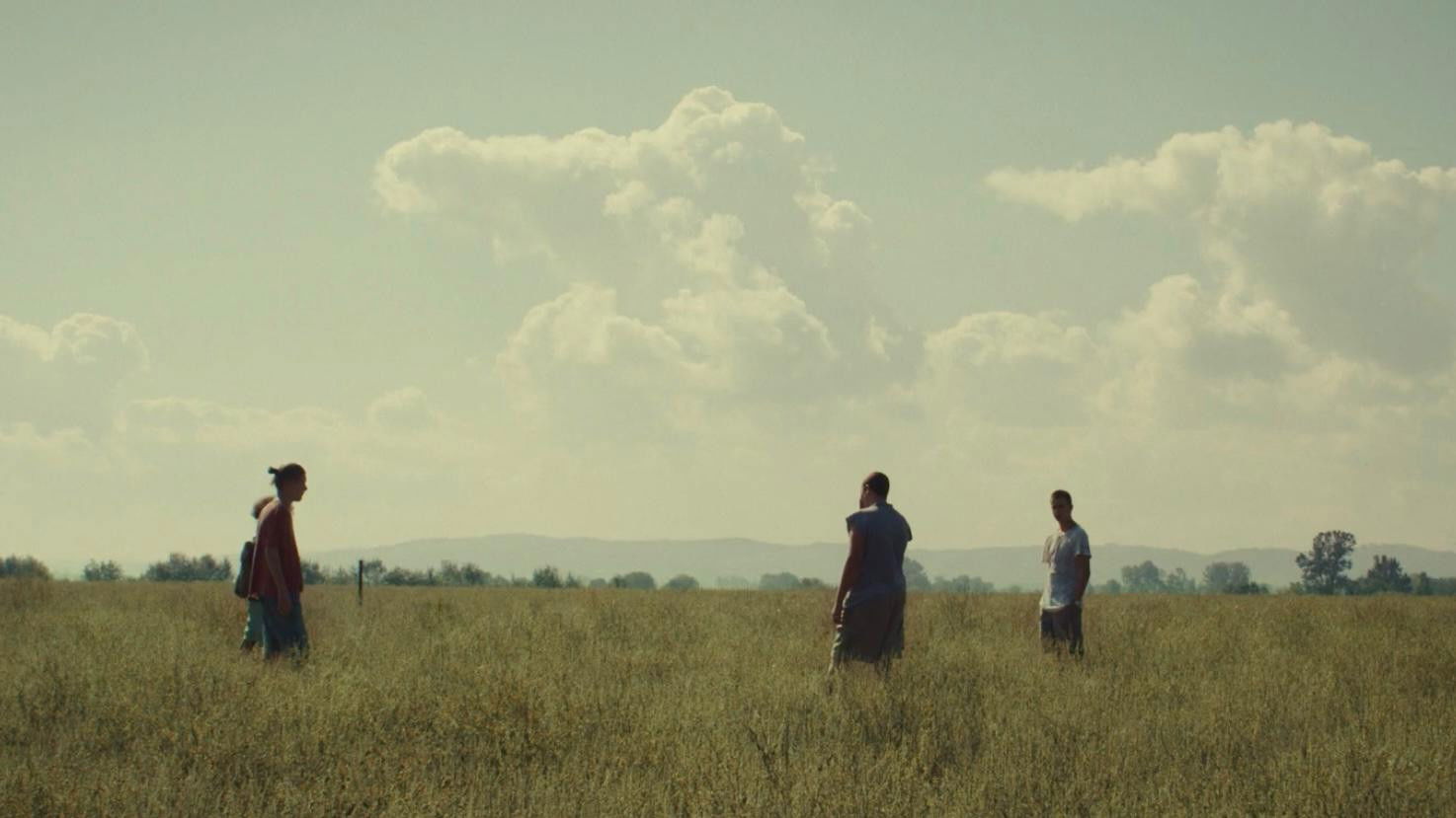 Backdrop for The Vine