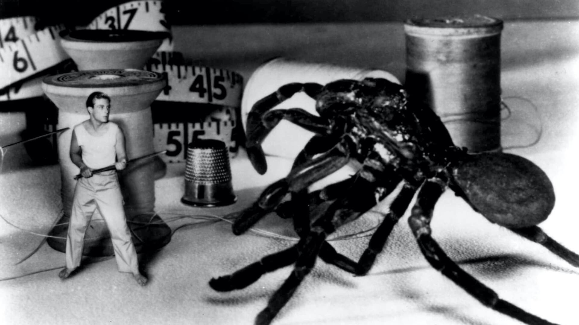 Backdrop for The Incredible Shrinking Man
