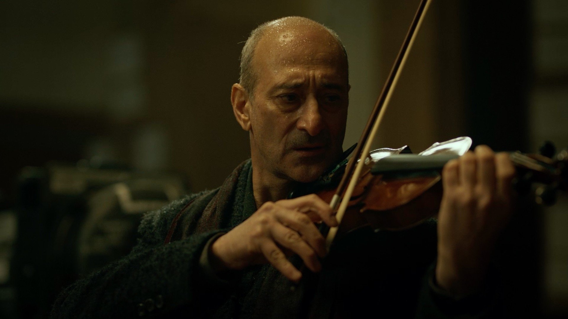 Backdrop for The Witness