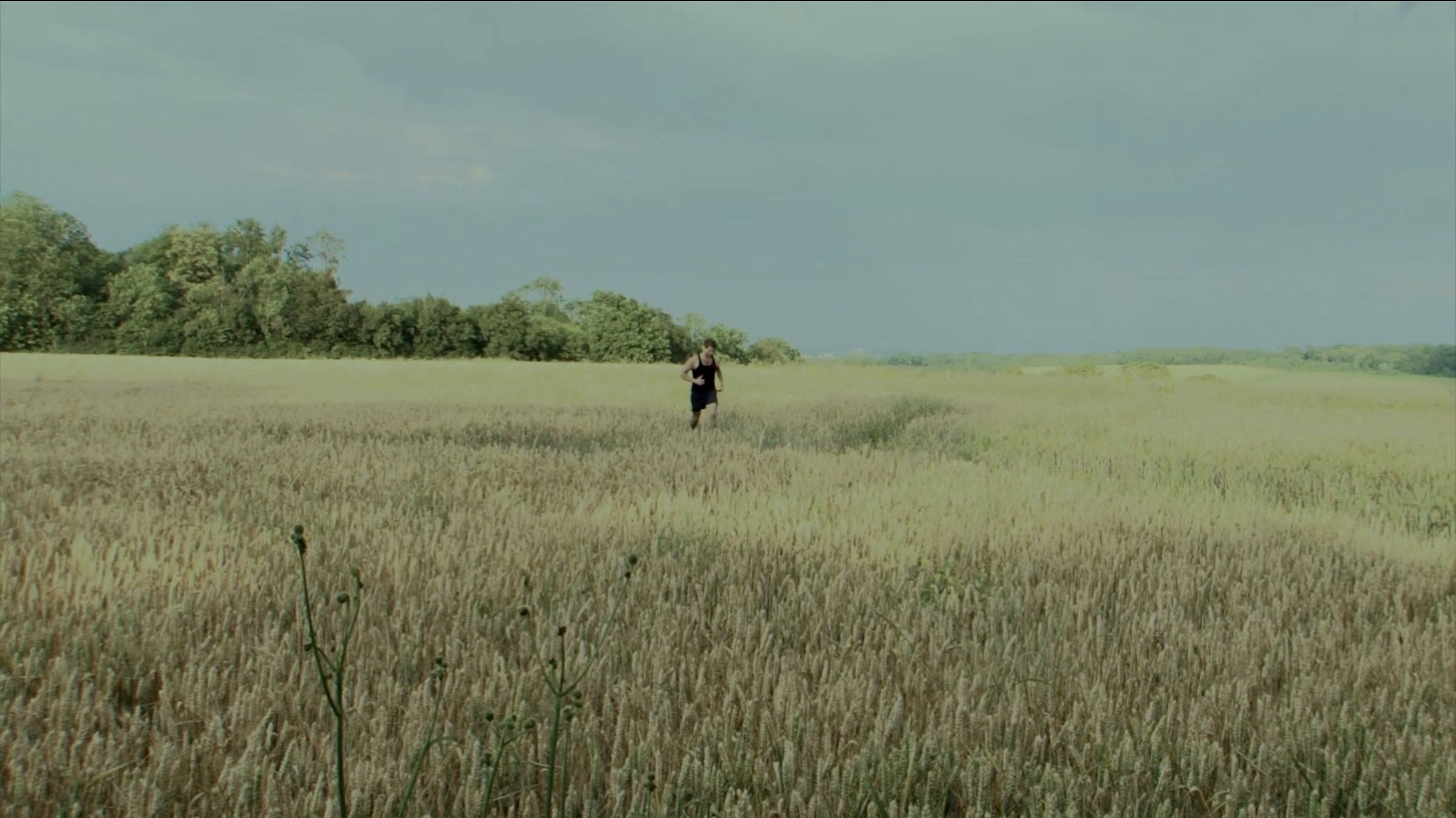 Backdrop for Intrusion