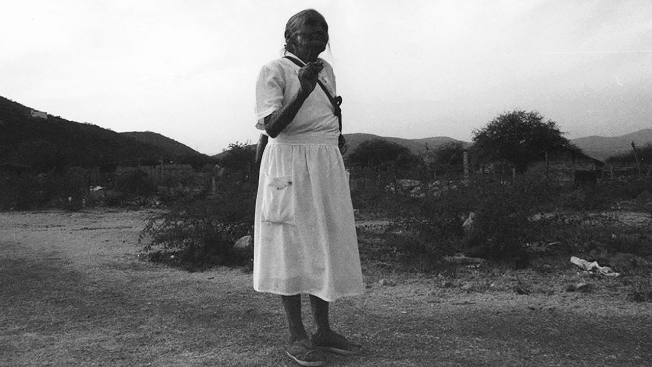 Backdrop for Zapata's Path