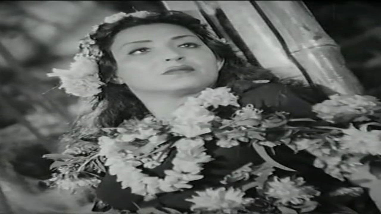 Backdrop for Valley of stars