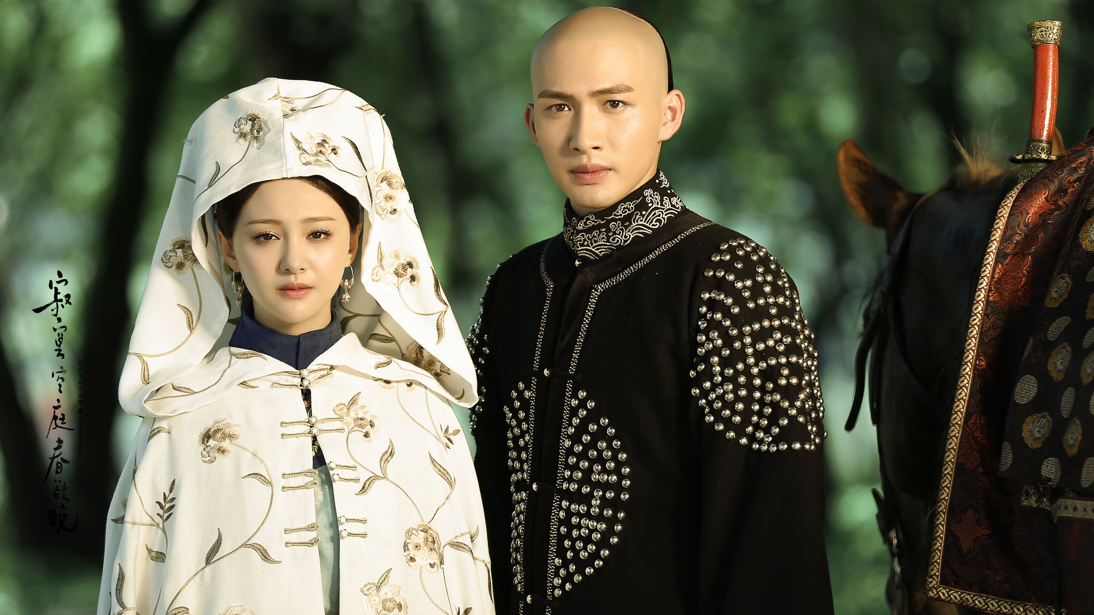 Backdrop for Chronicle of Life