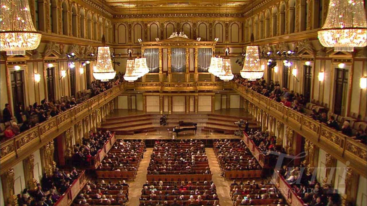 Backdrop for Volodos in Vienna