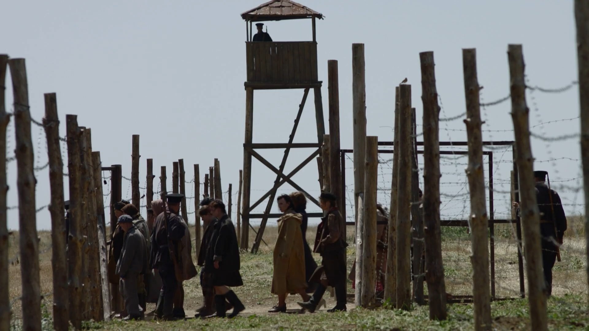 Backdrop for A.L.Zh.I.R