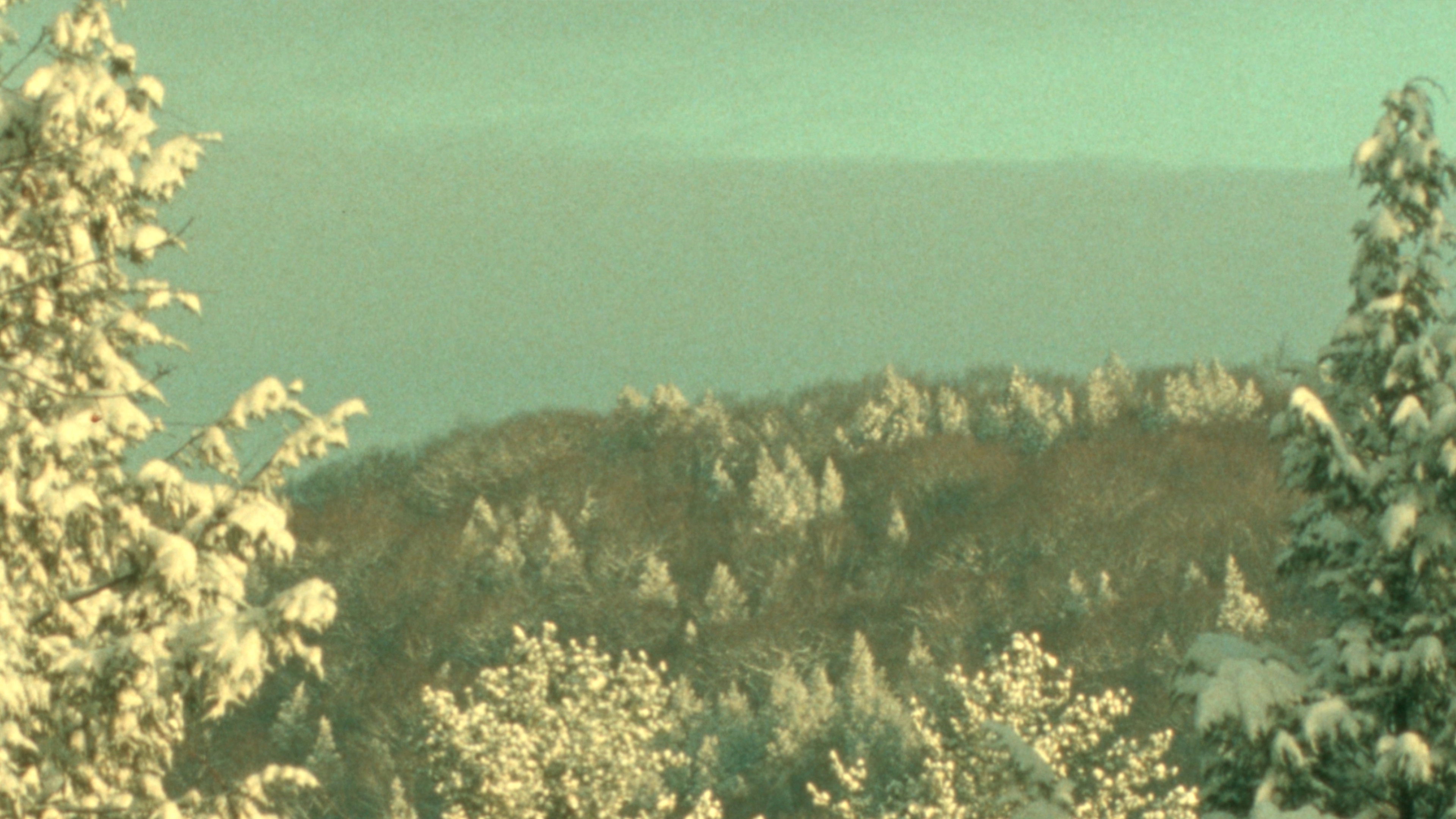 Backdrop for Winter Light