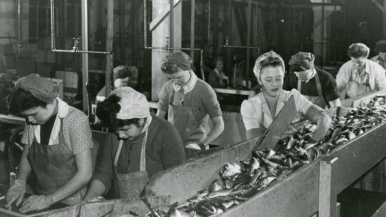 Backdrop for Working People: A History of Labour in British Columbia