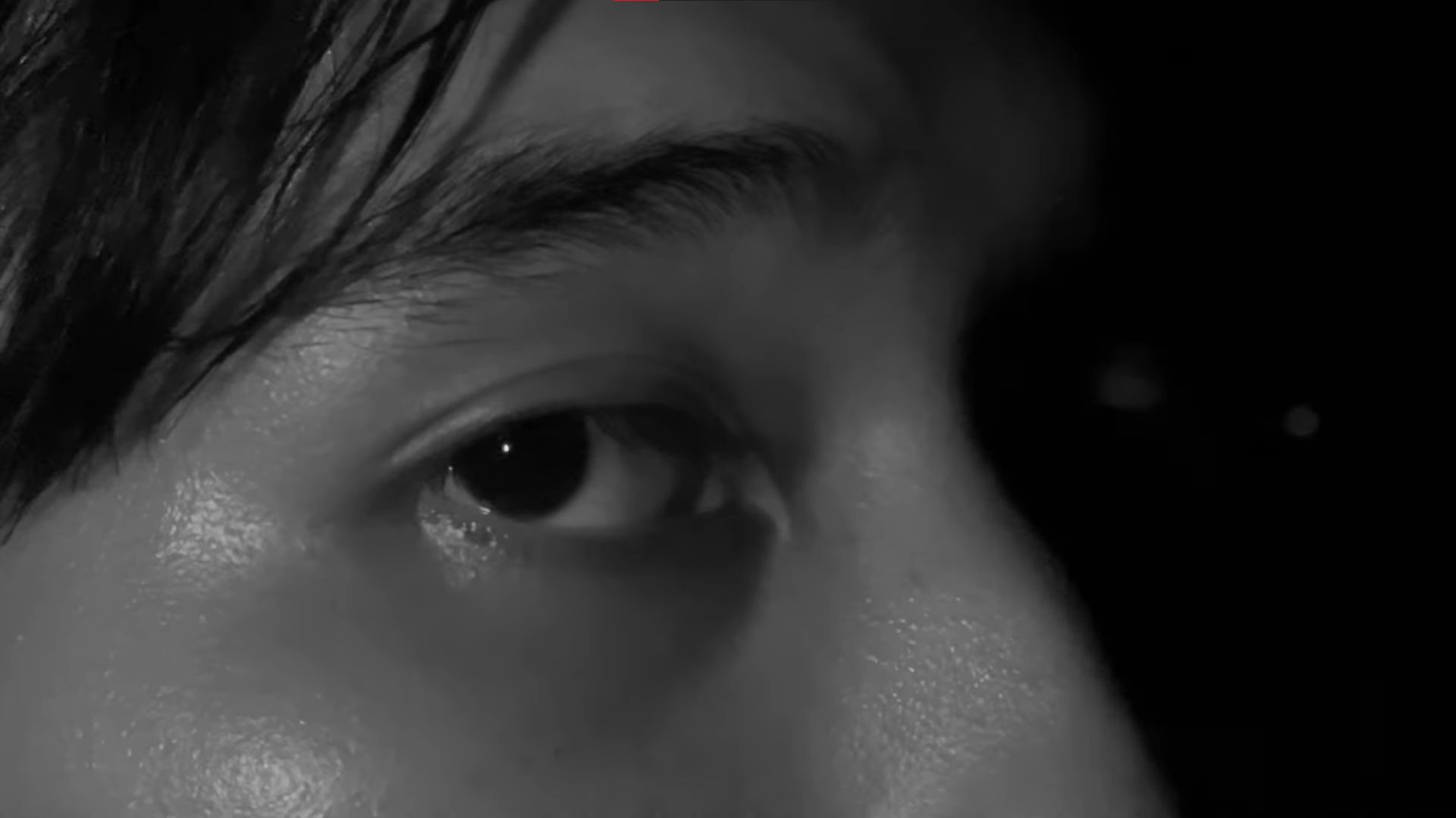 Backdrop for The Ego System