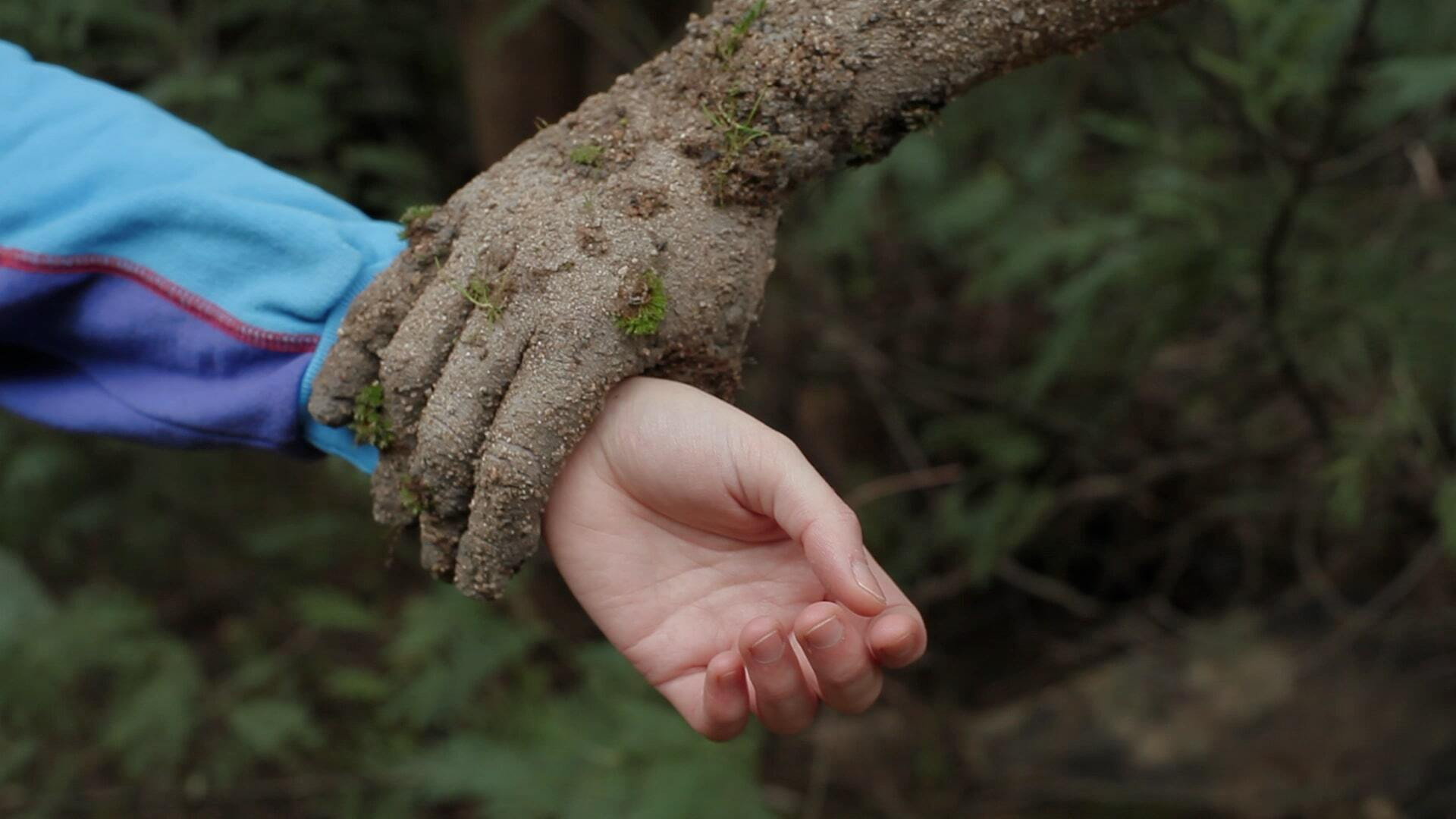 Backdrop for Road to Heaven