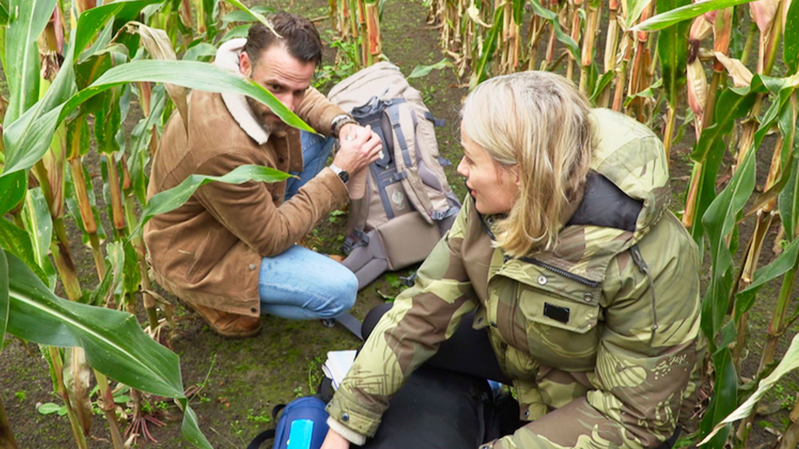 Backdrop for De Invasie van België