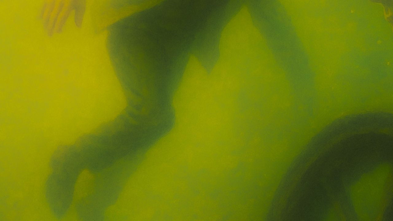 Backdrop for Grim Wheel