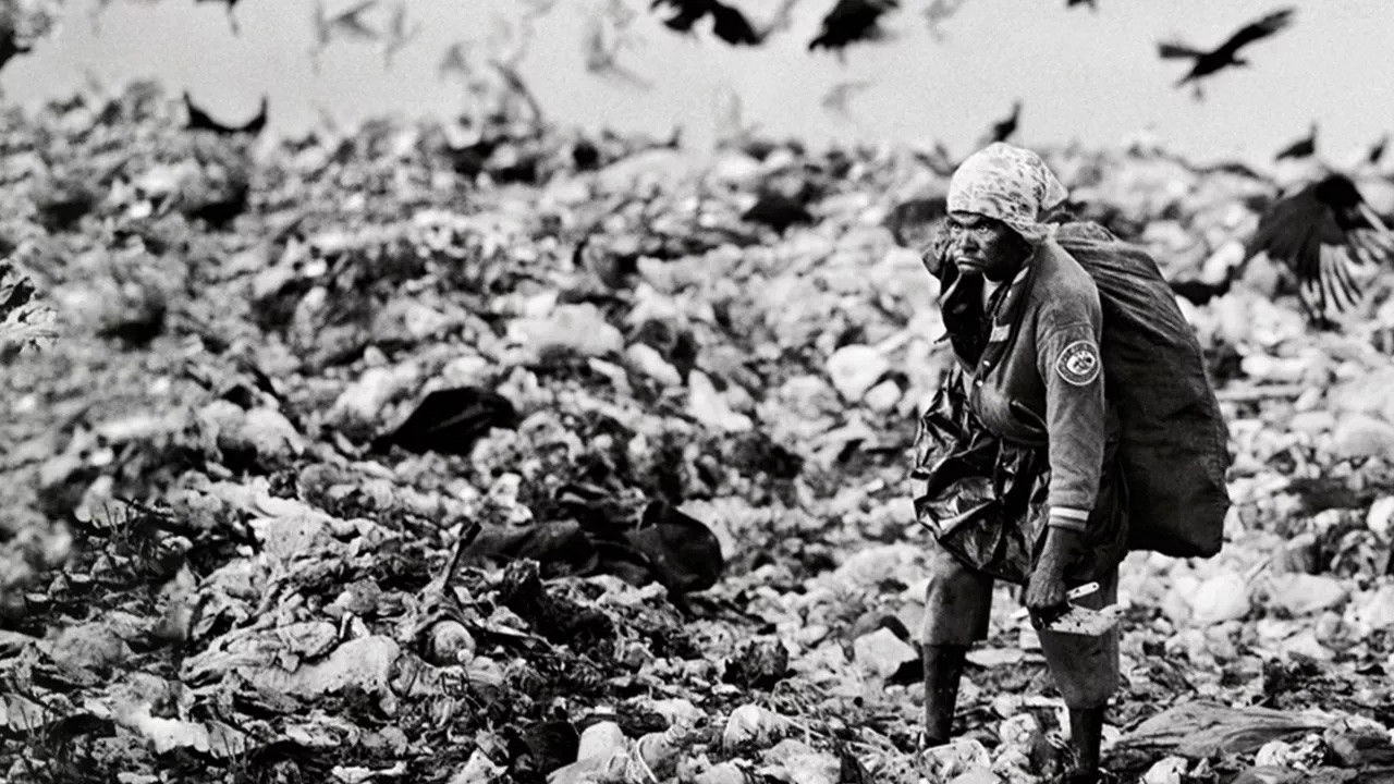 Backdrop for Estamira Para Todos E Para Ninguém