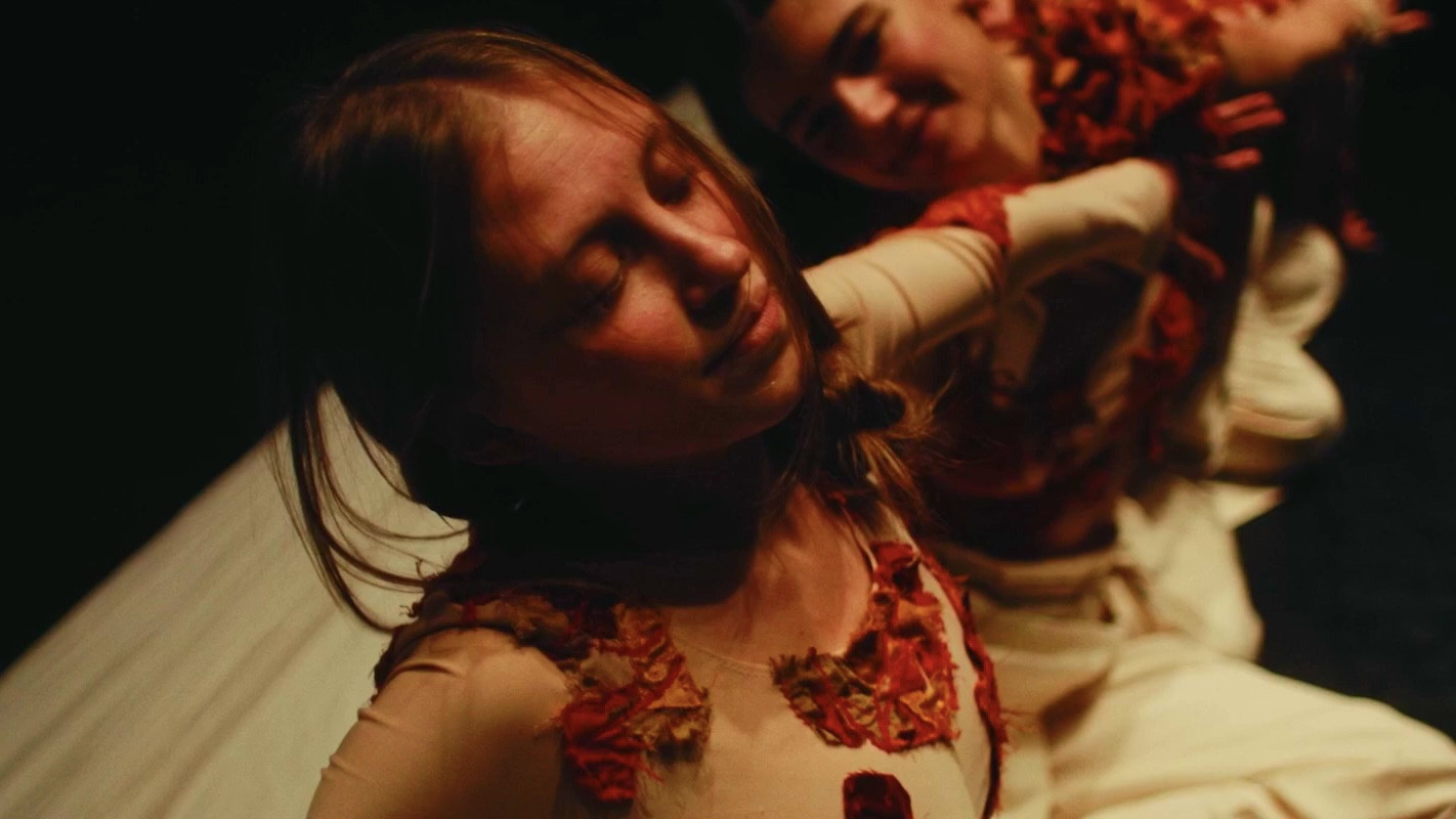 Backdrop for Match in a Haystack