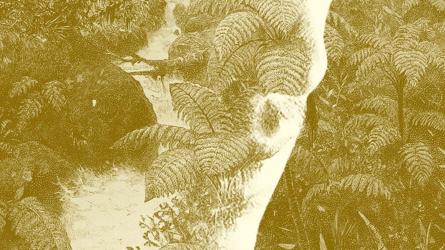 Backdrop for Tiger Bay