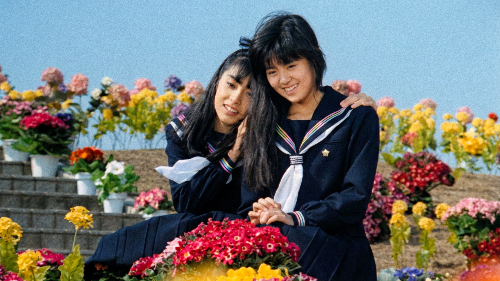 Backdrop for The Maidens of Aries