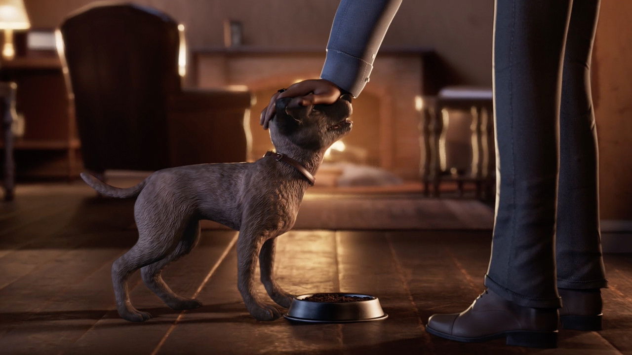 Backdrop for Little Stray