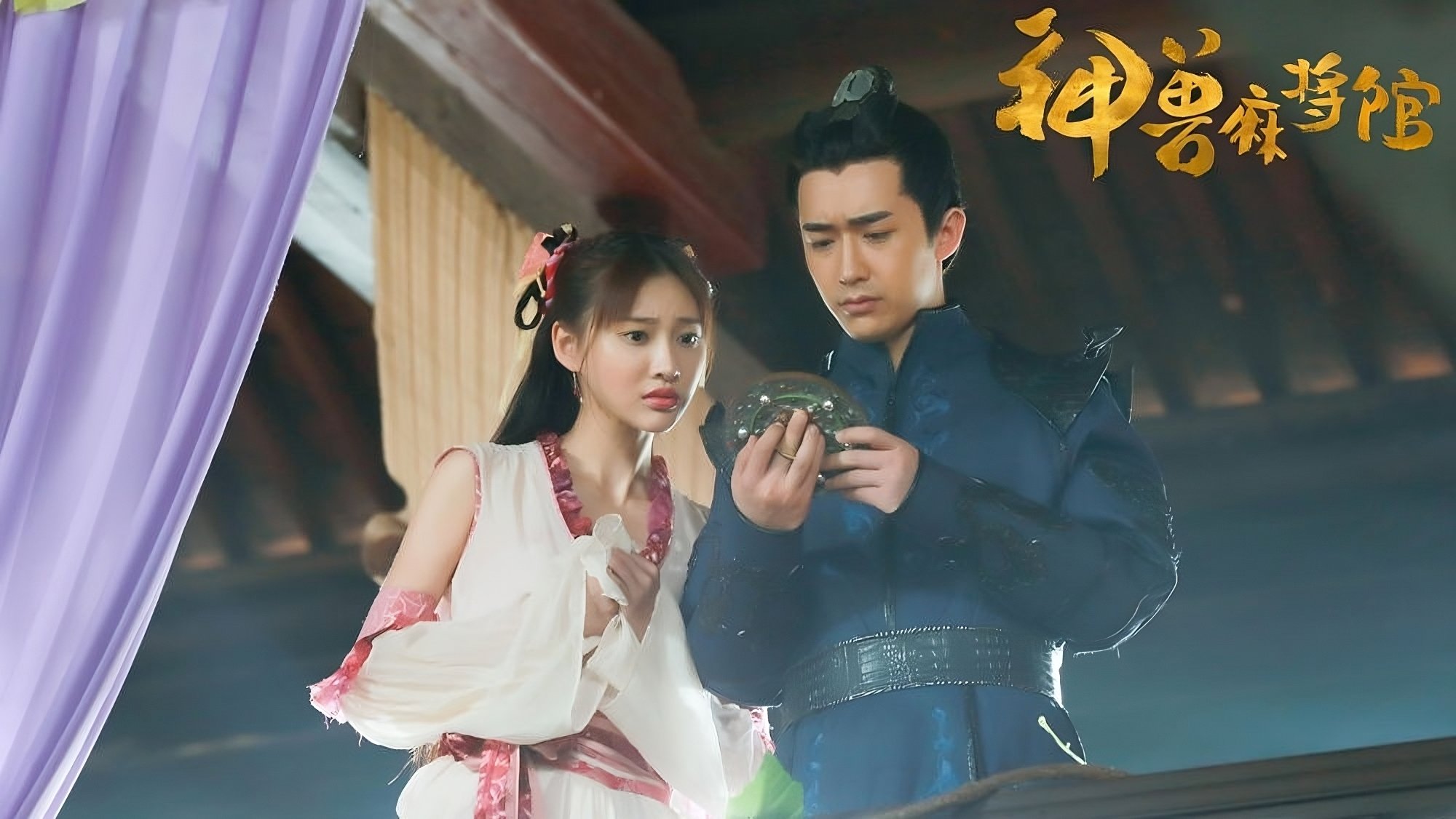 Backdrop for Insect Mahjong Museum