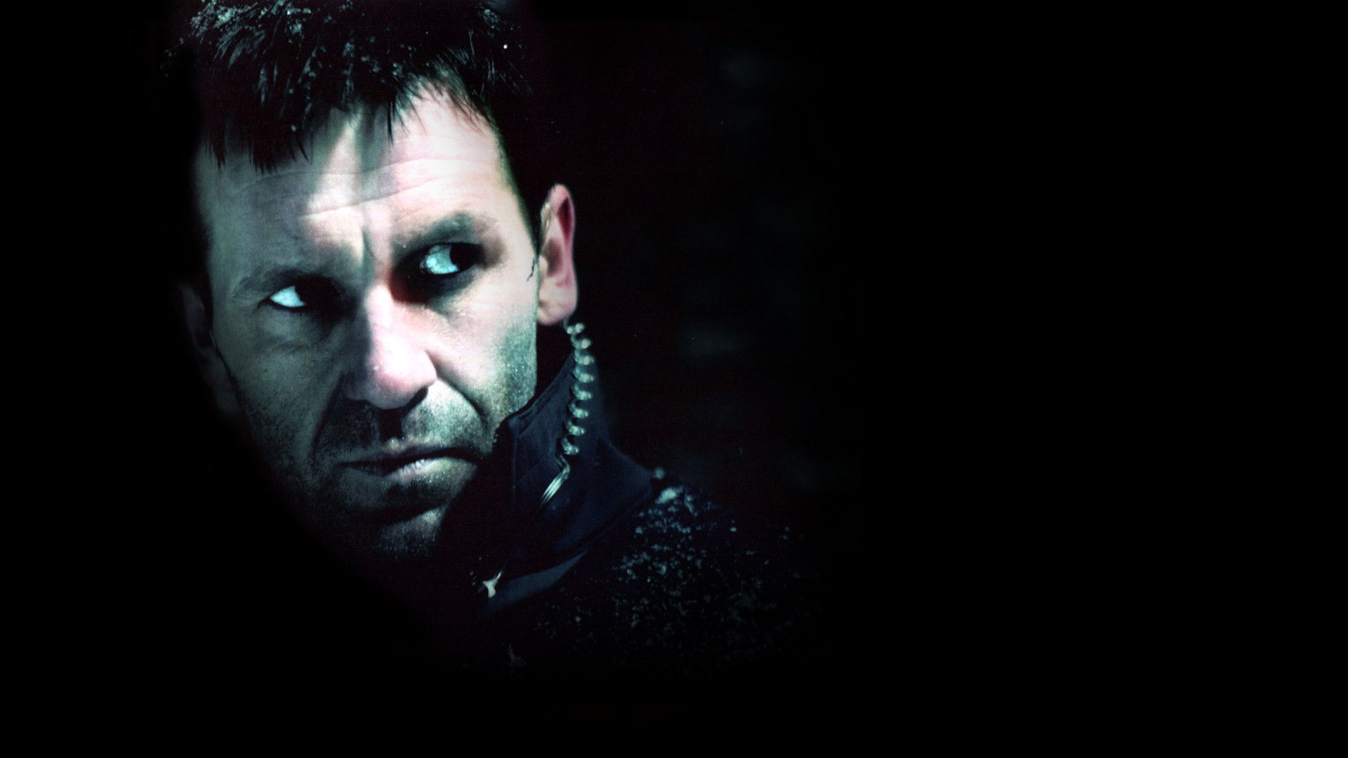 Backdrop for Torpedo