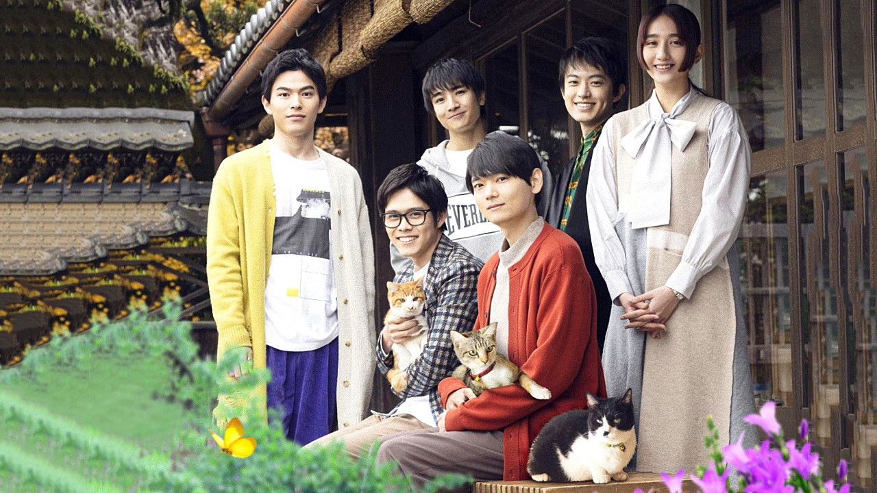 Backdrop for Cat Sharehouse