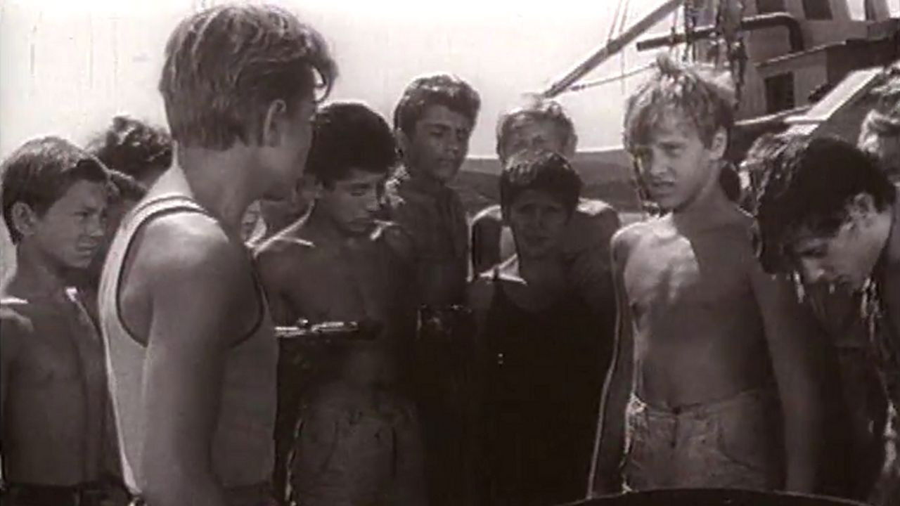 Backdrop for Black Pearls