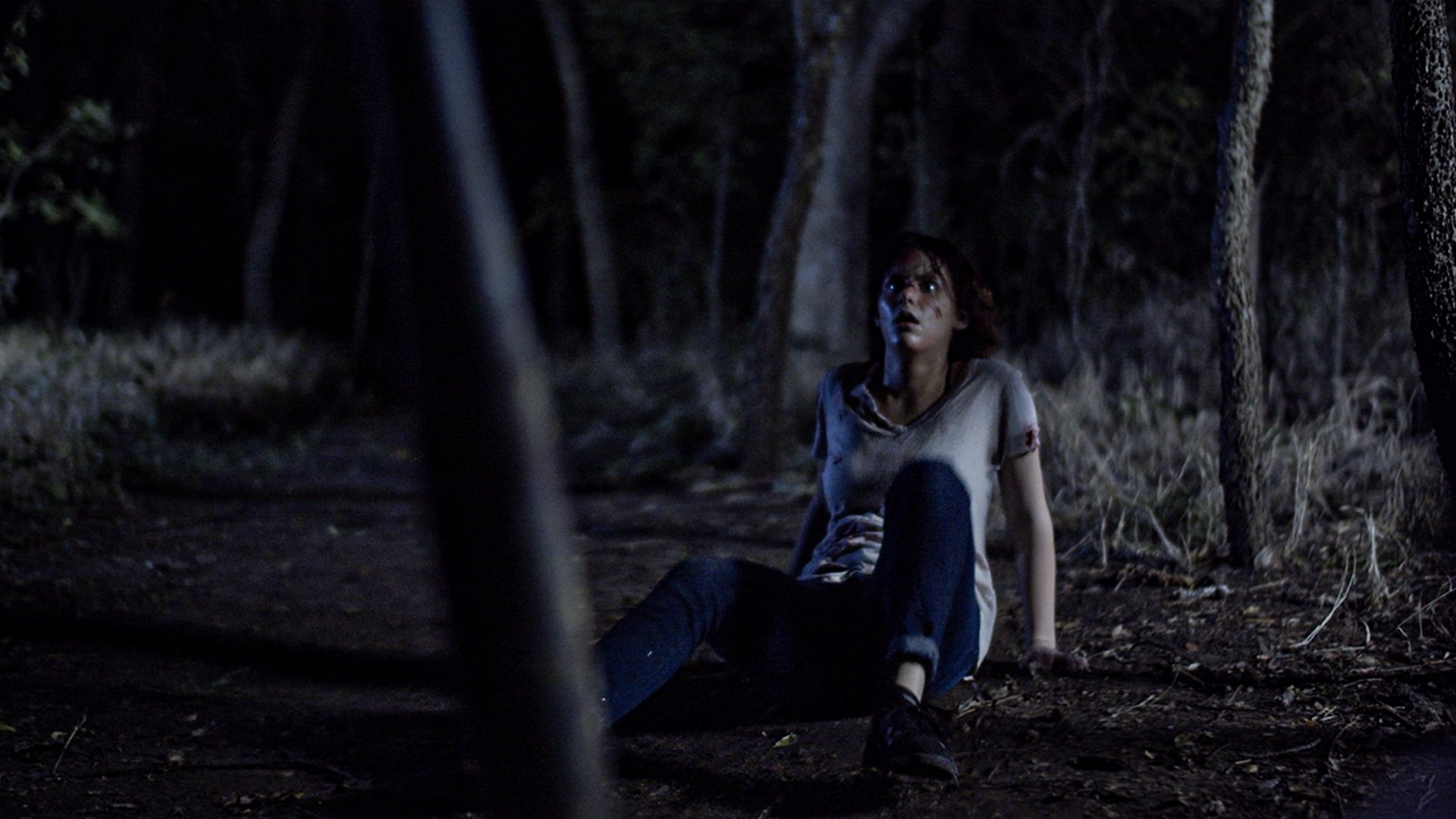 Backdrop for WAM!: Wear A Mask!