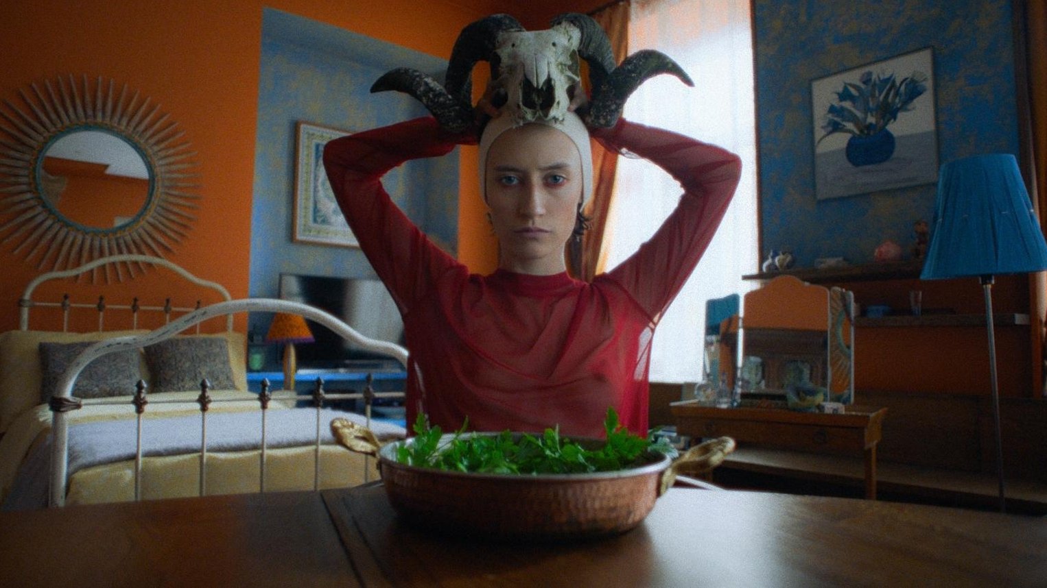 Backdrop for The Night Screening