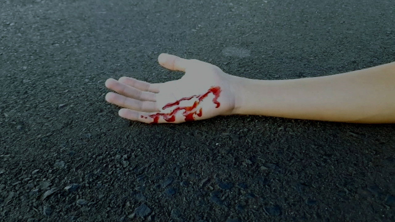 Backdrop for Echoes of Silence