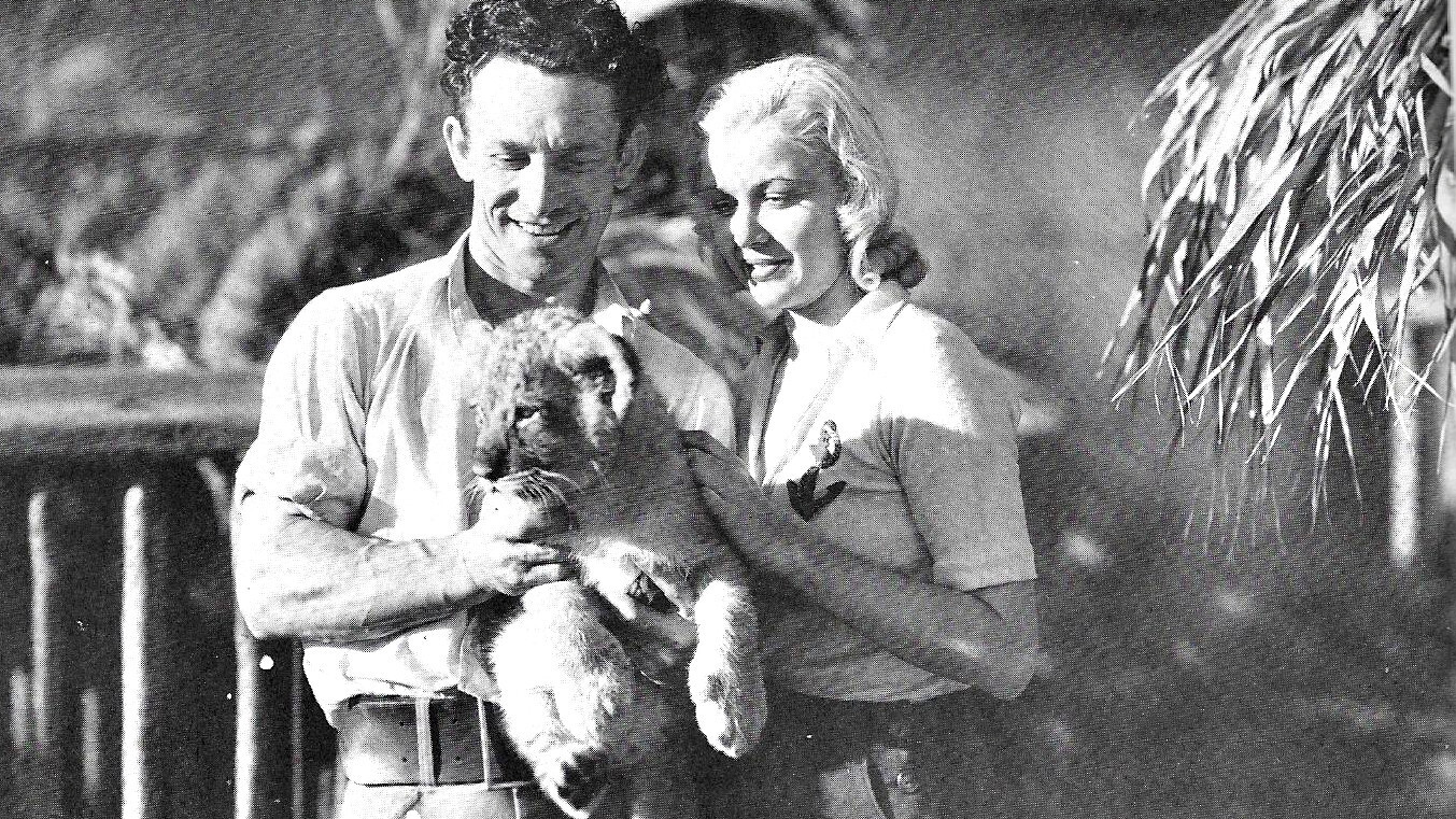 Backdrop for The Lost Jungle