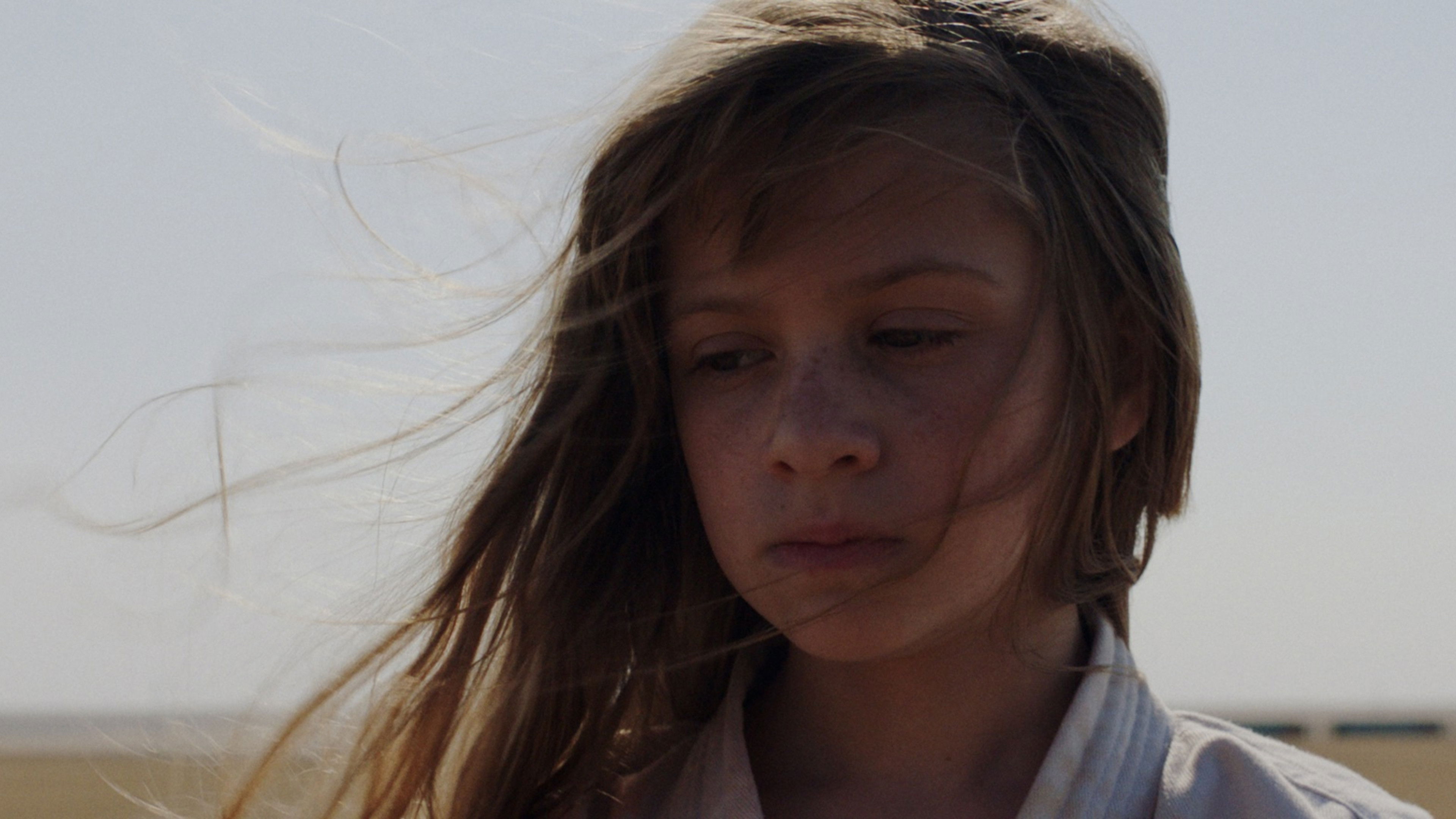 Backdrop for Stampede