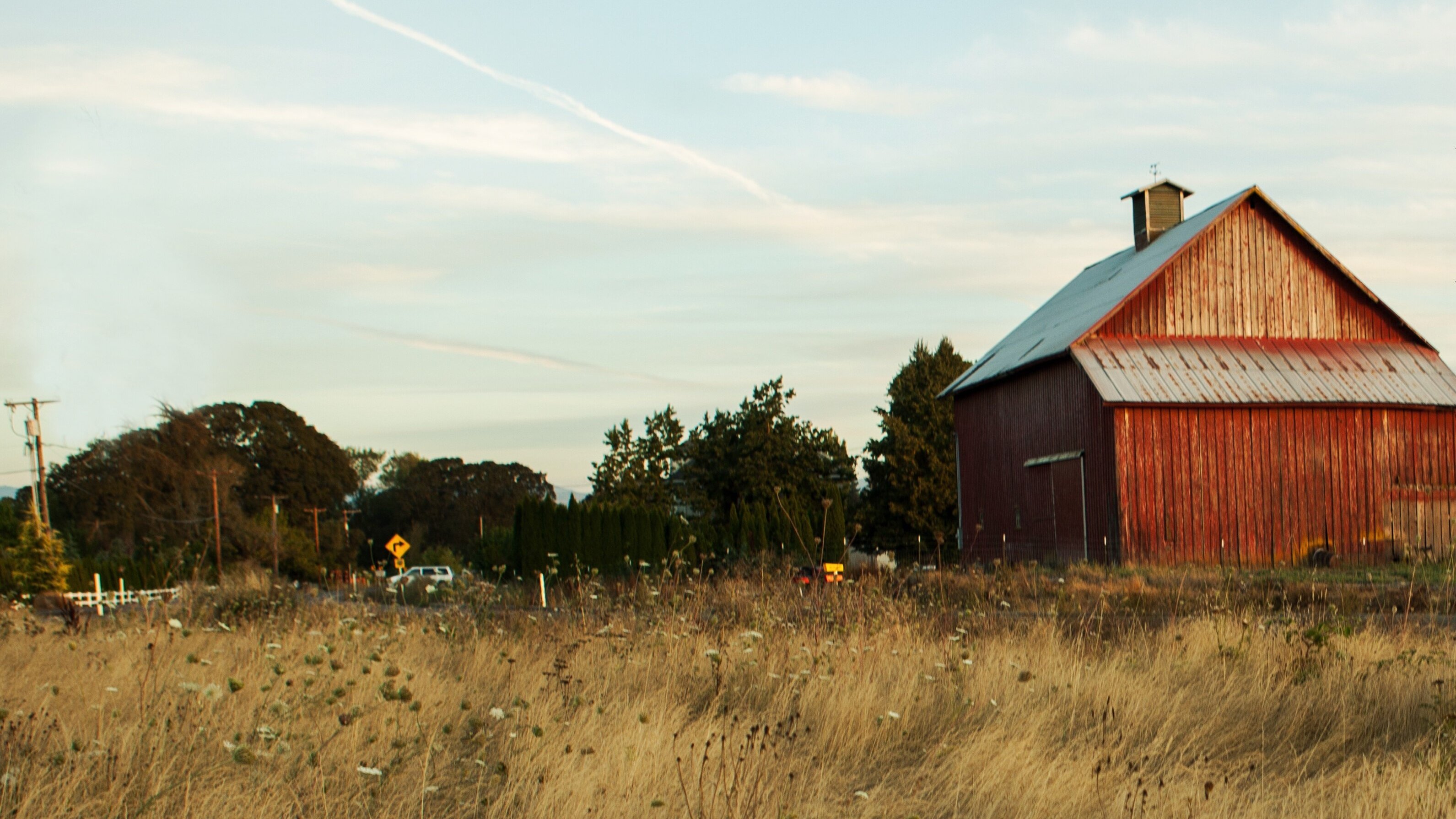 Backdrop for Farm Crime