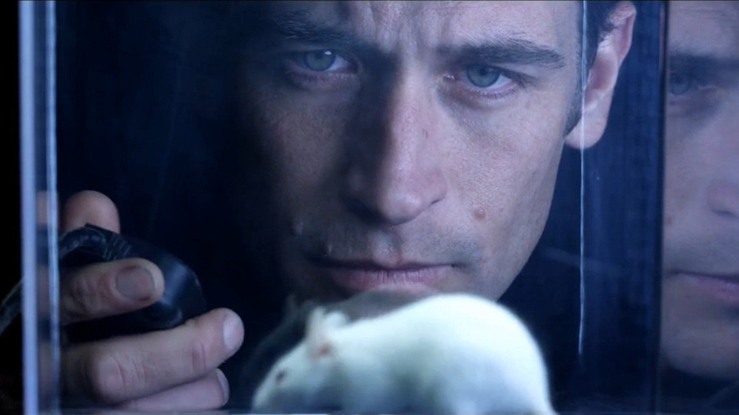 Backdrop for The Jaunt