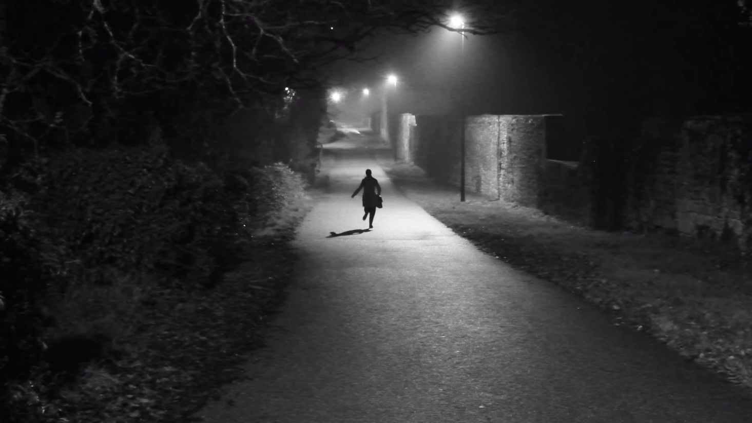 Backdrop for L'OMBRE