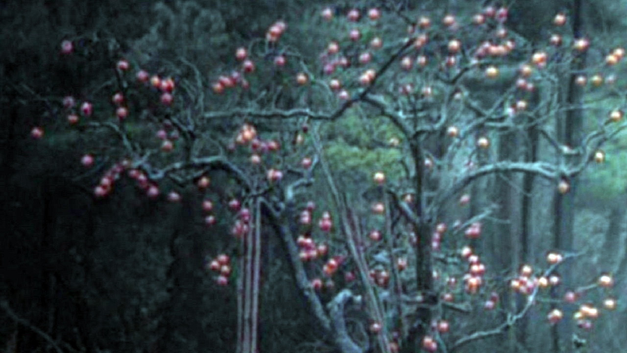 Backdrop for Elegy of a Voyage