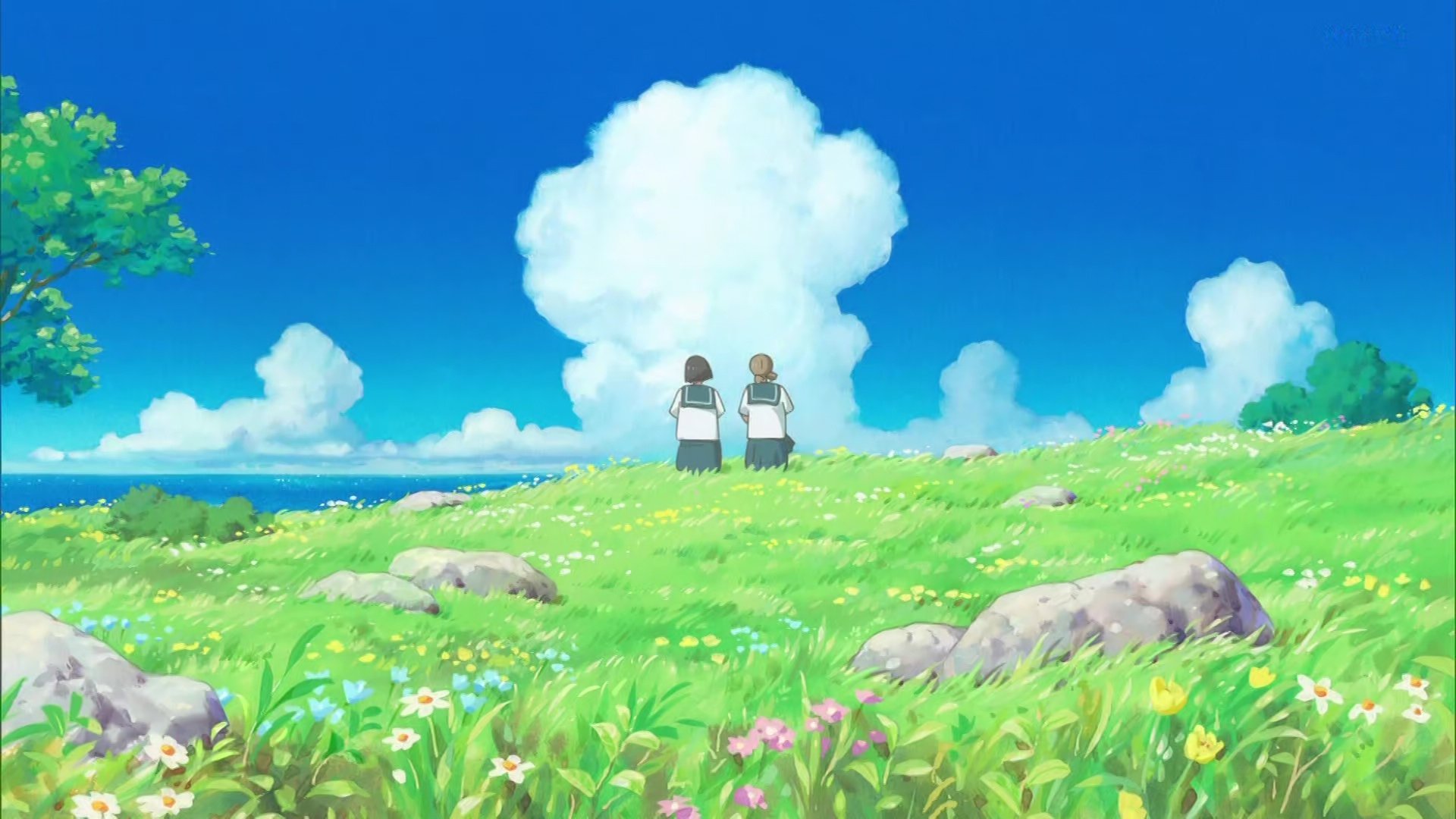 Backdrop for Cocoon: Aru Natsu no Shoujo-tachi yori