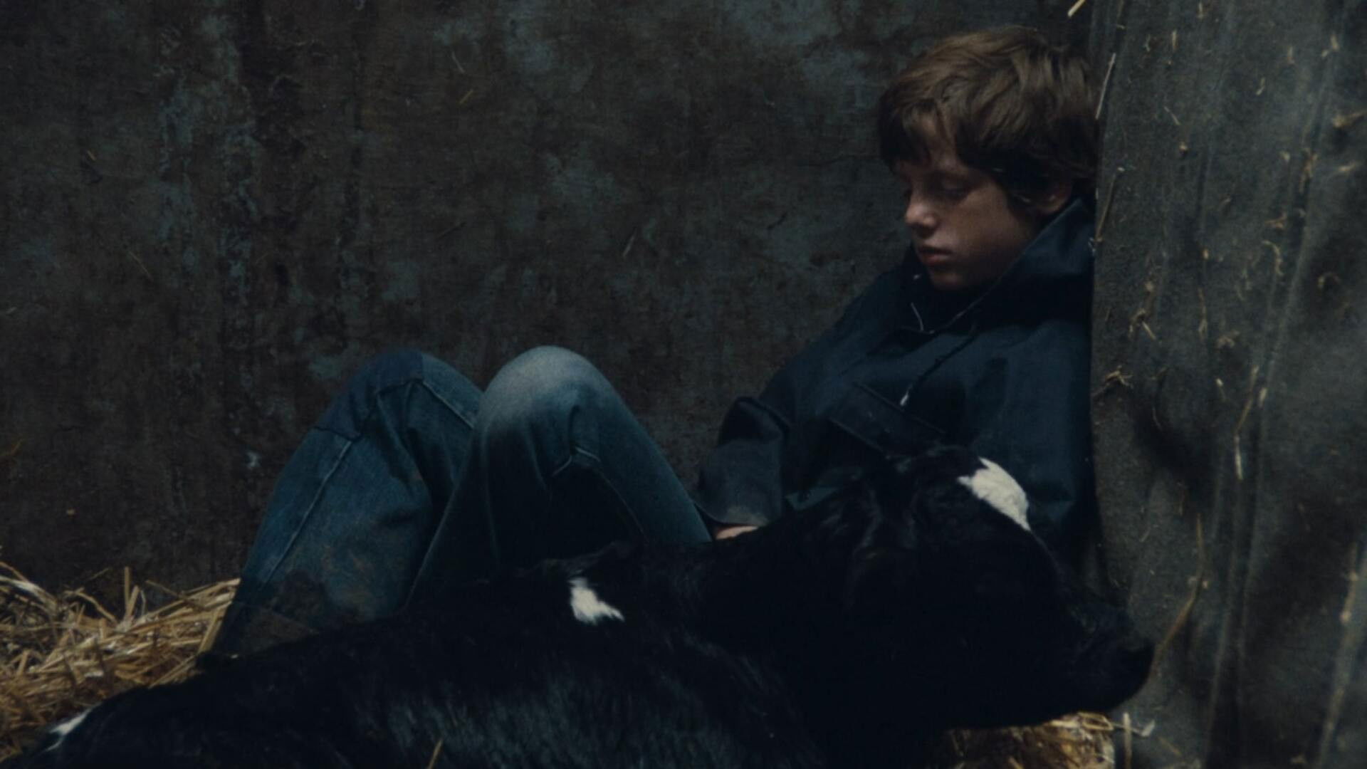 Backdrop for Voltati Eugenio