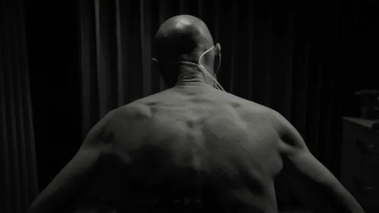 Backdrop for Twenty Twenty