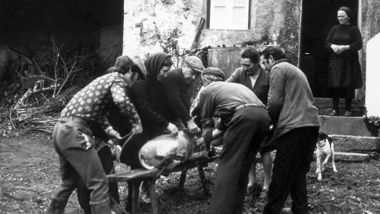 Backdrop for Nós Por Cá Todos Bem