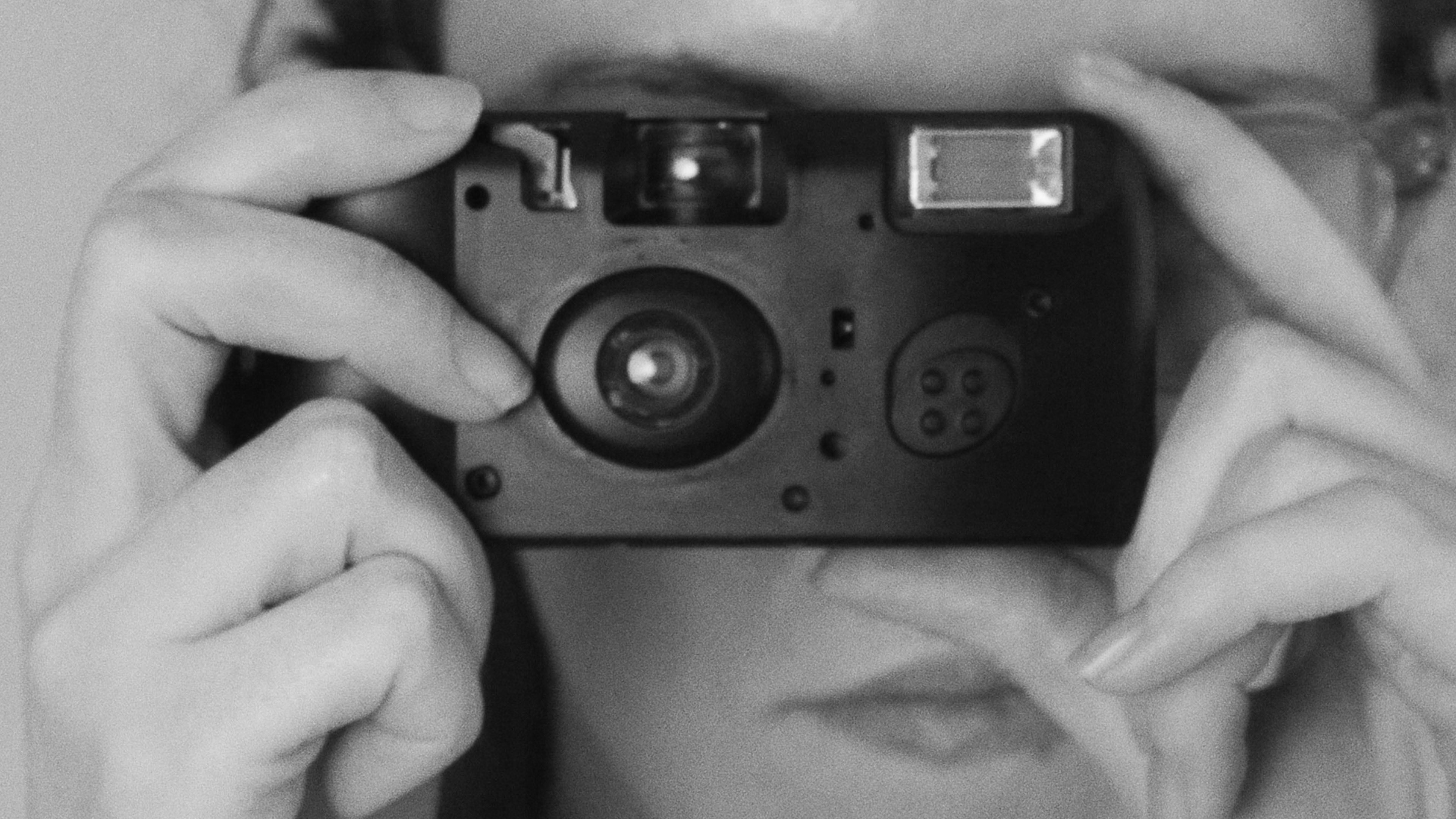 Backdrop for Black Box Investigations