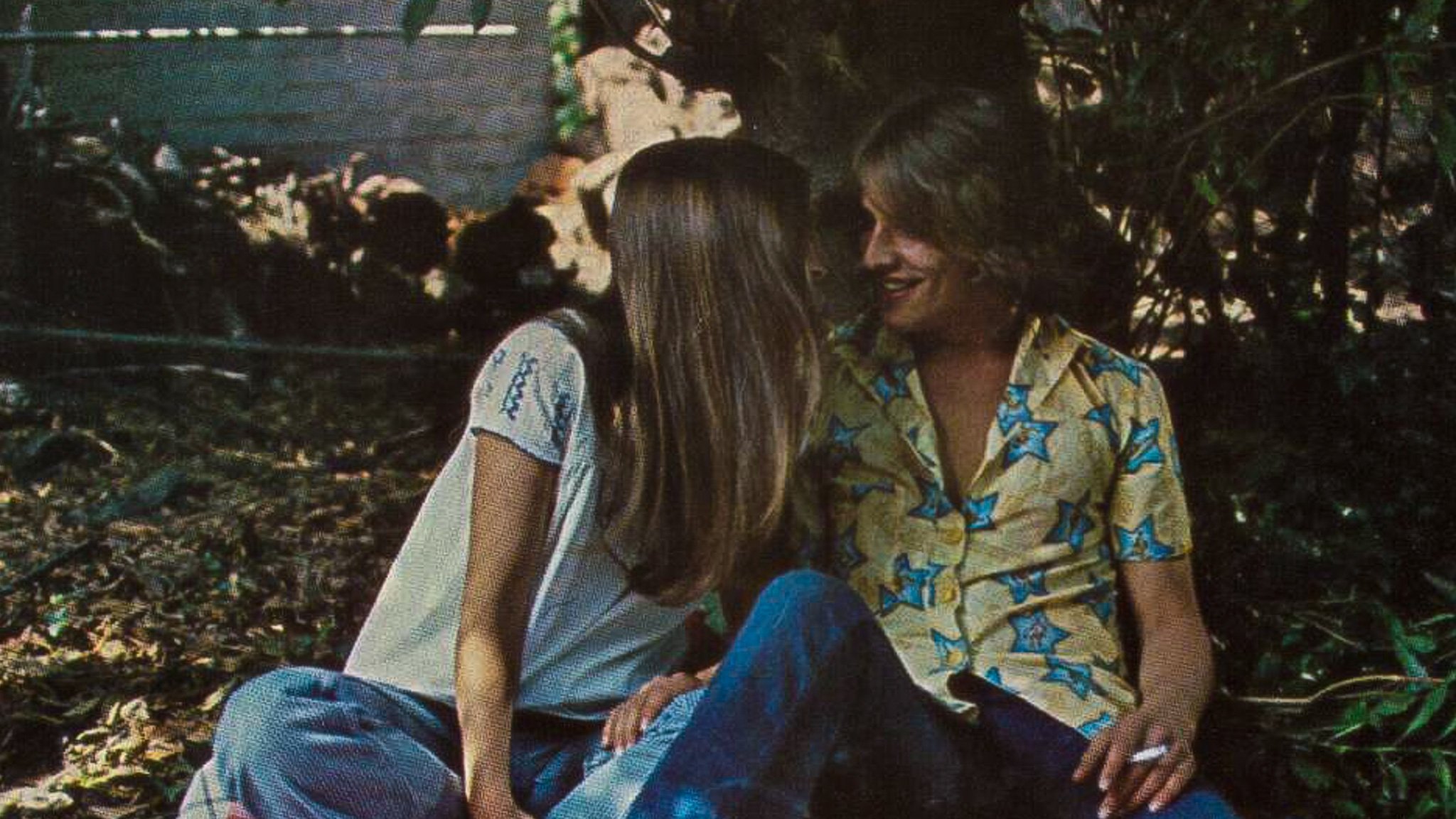 Backdrop for The Harrad Experiment