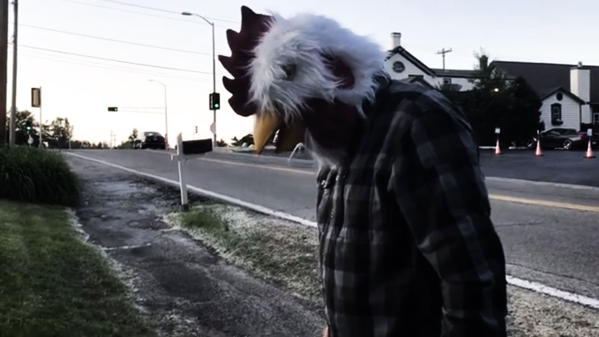 Backdrop for Anxiety: Fowl Play