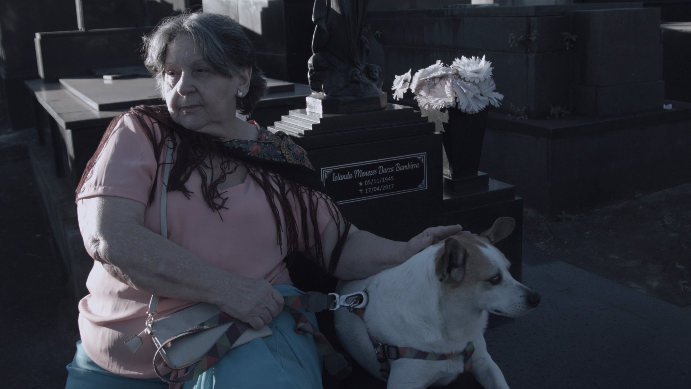 Backdrop for The Remainings