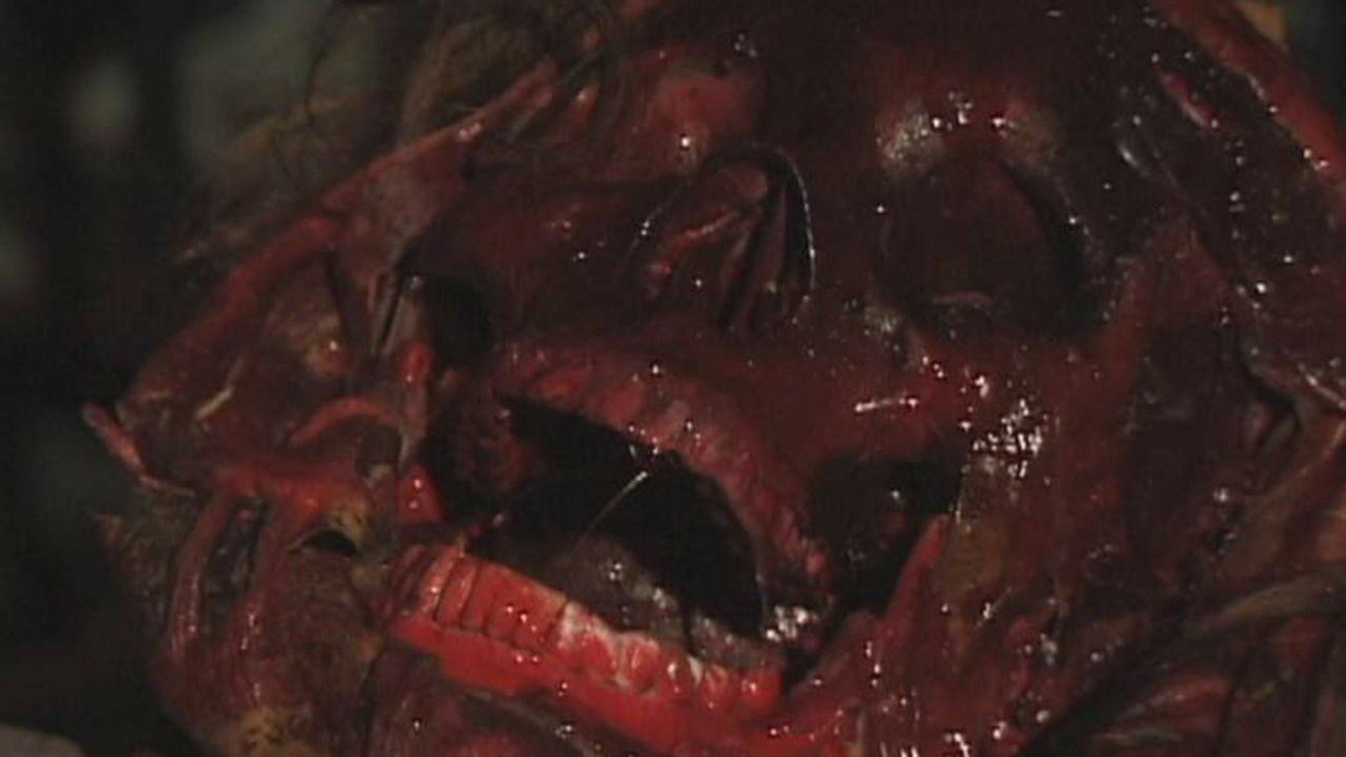 Backdrop for Bone Sickness