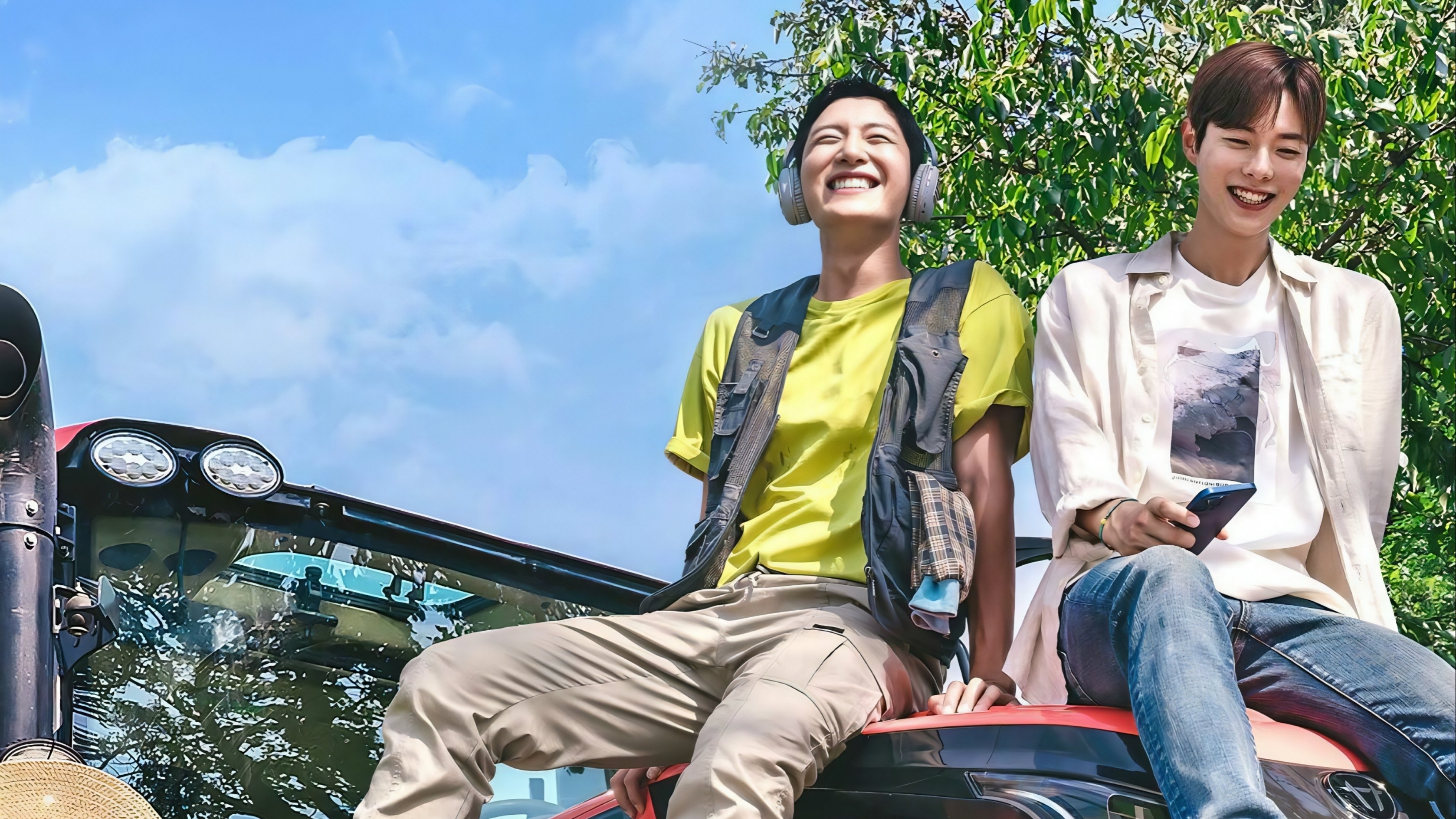 Backdrop for Love Tractor