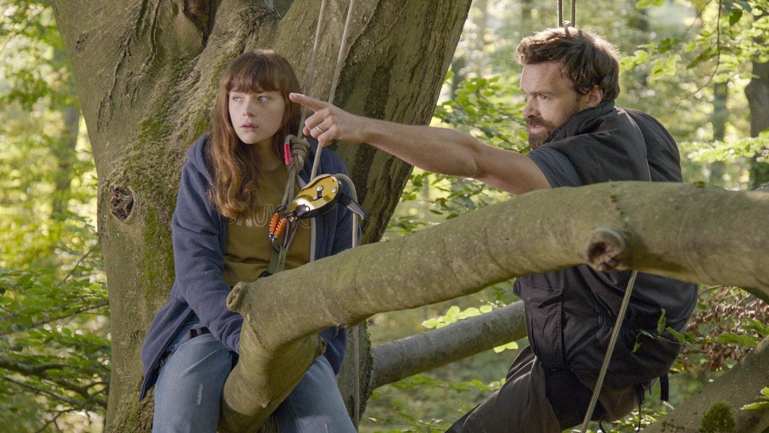 Backdrop for La Forêt de mon père