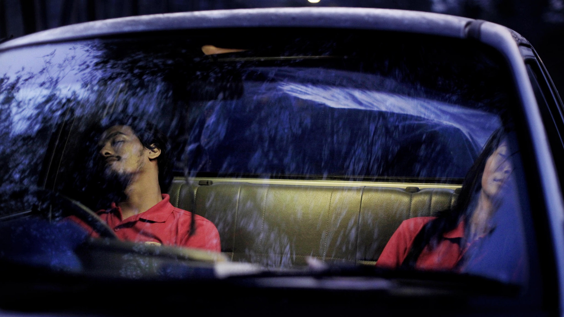 Backdrop for Peculiar Vacation and Other Illnesses