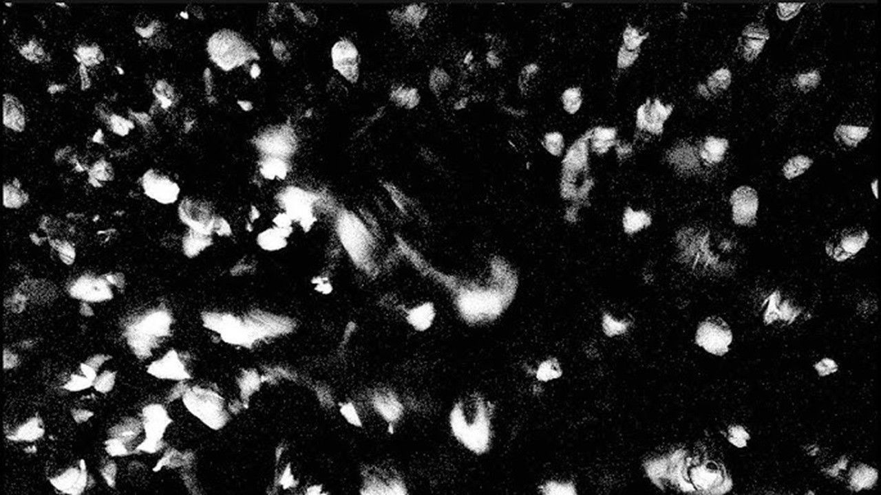 Backdrop for “Rooms of the House, 10 Years later - a motion picture film by Martin"