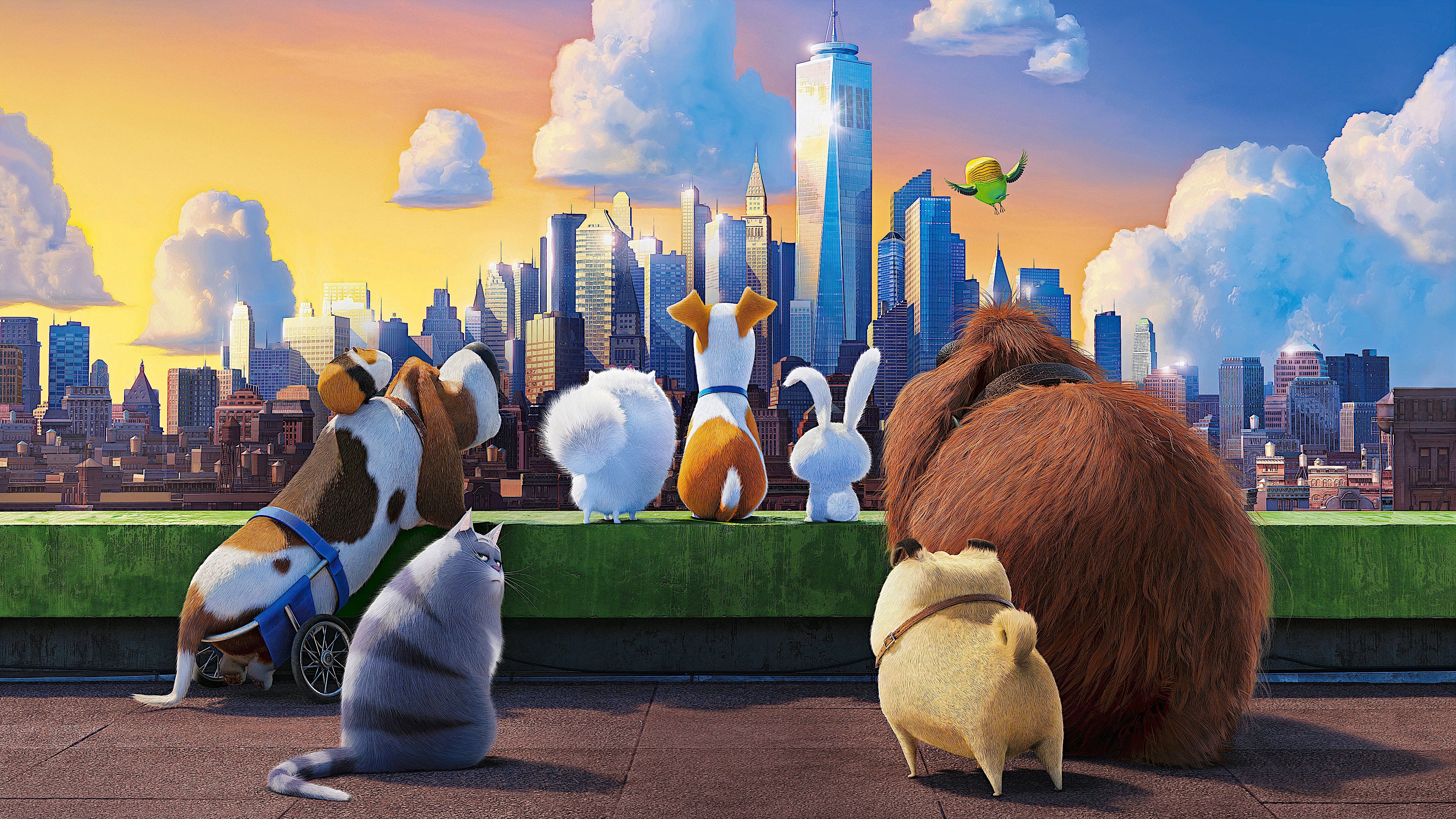 Backdrop for The Secret Life of Pets