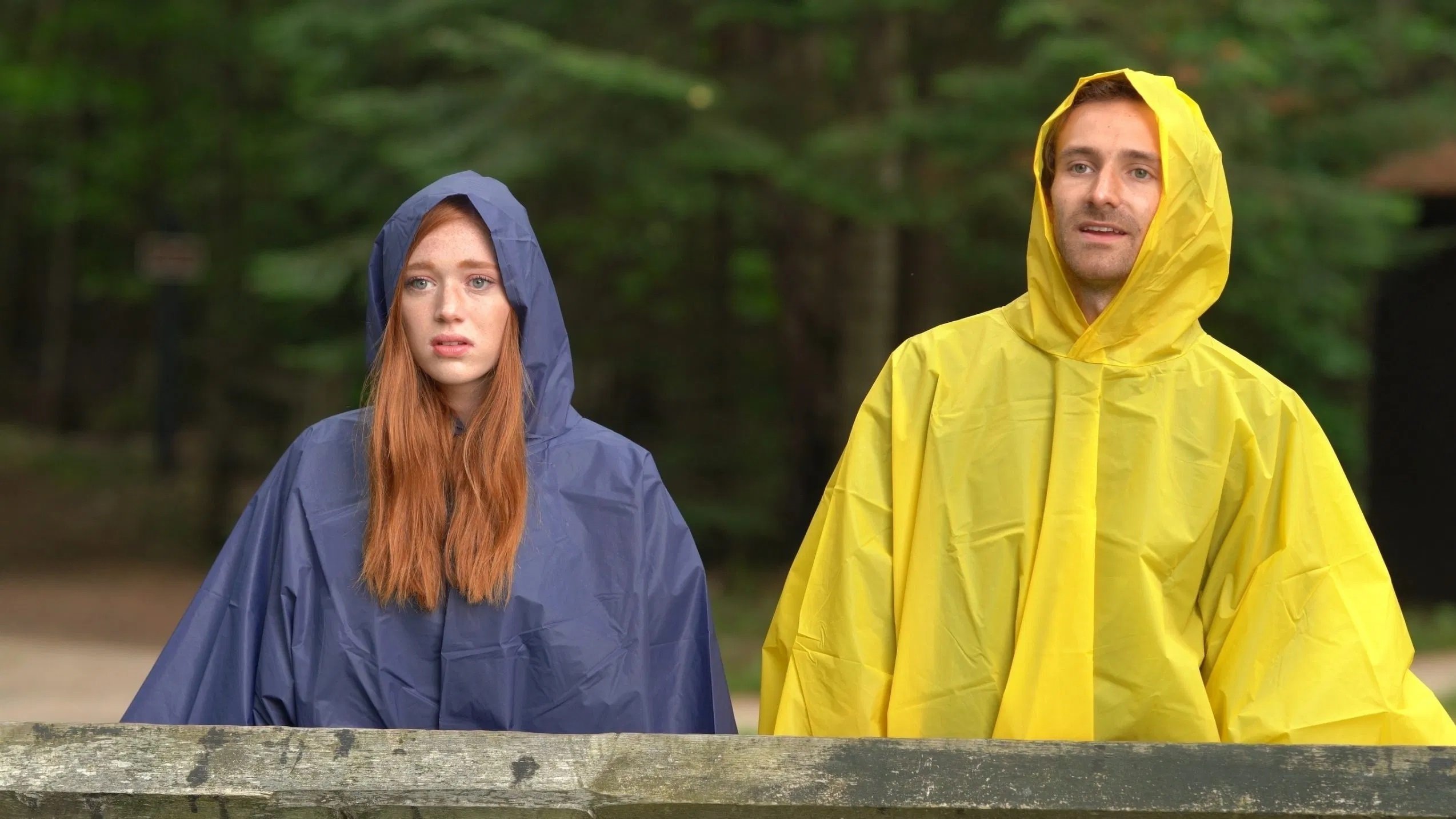 Backdrop for West Michigan