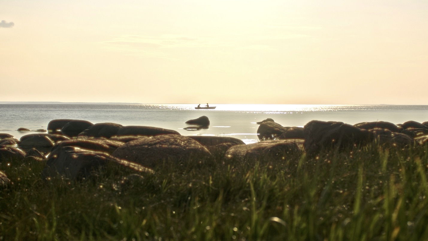 Backdrop for The Prayer